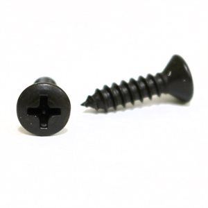 Phillips Oval Head Tapping Screws #10 x 3/4" Black