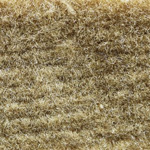 Sample of El Dorado Cutpile Carpet Biscuit Unlatexed