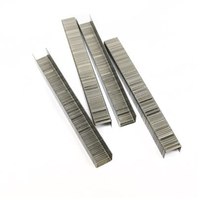 Duofast Staples 50 Series 1/2" x 1/2" Stainless Steel