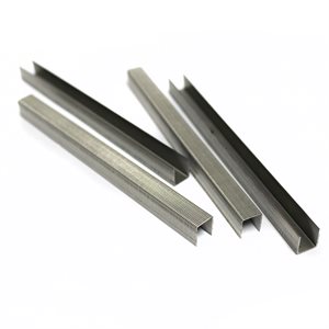 Beck Staples 3/8" x 1/2" Stainless Steel