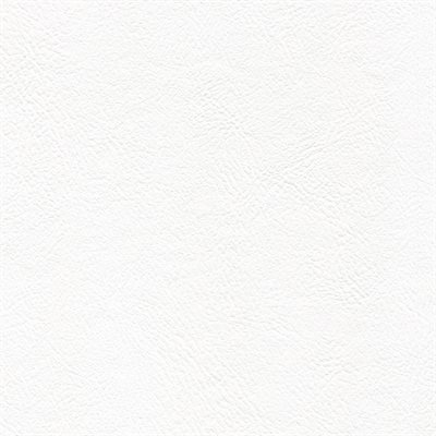 Sample of Genesis Economy Vinyl Madrid White
