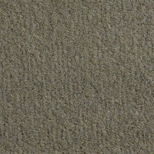 Sample of El Dorado Cutpile Carpet Medium Mocha Unlatexed