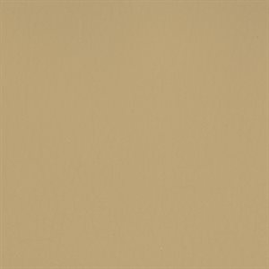 Sample of Dolce Contract Vinyl Sand DISCONTINUED
