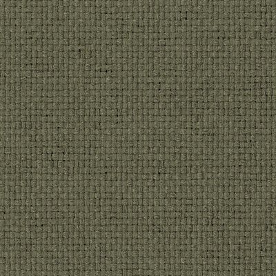 Sherpa Tweed Cloth Moss 54" 