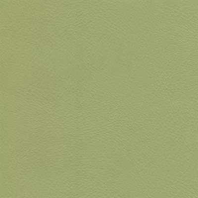 Enduratex Gran Reserva Contract Vinyl Thompson Green