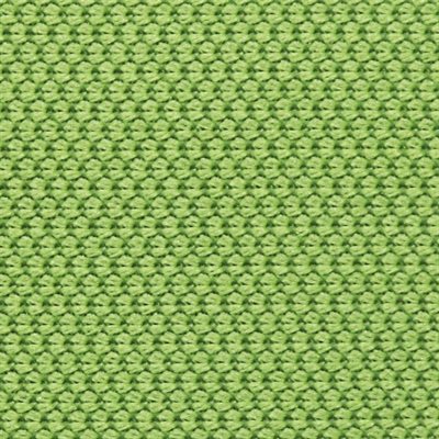 Sample of Xcel Cloth Green