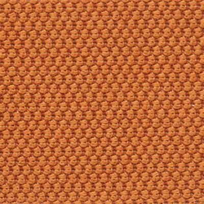 Sample of Xcel Cloth Orange